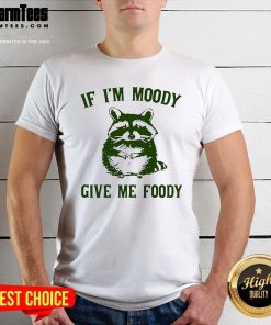Cute If I'm Moody Give Me Foody T-Shirt