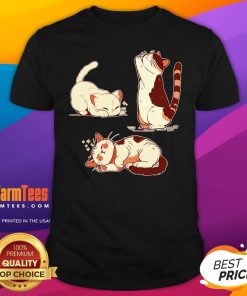 Cute Sunday Afternoon Kitty Yoga T-Shirt