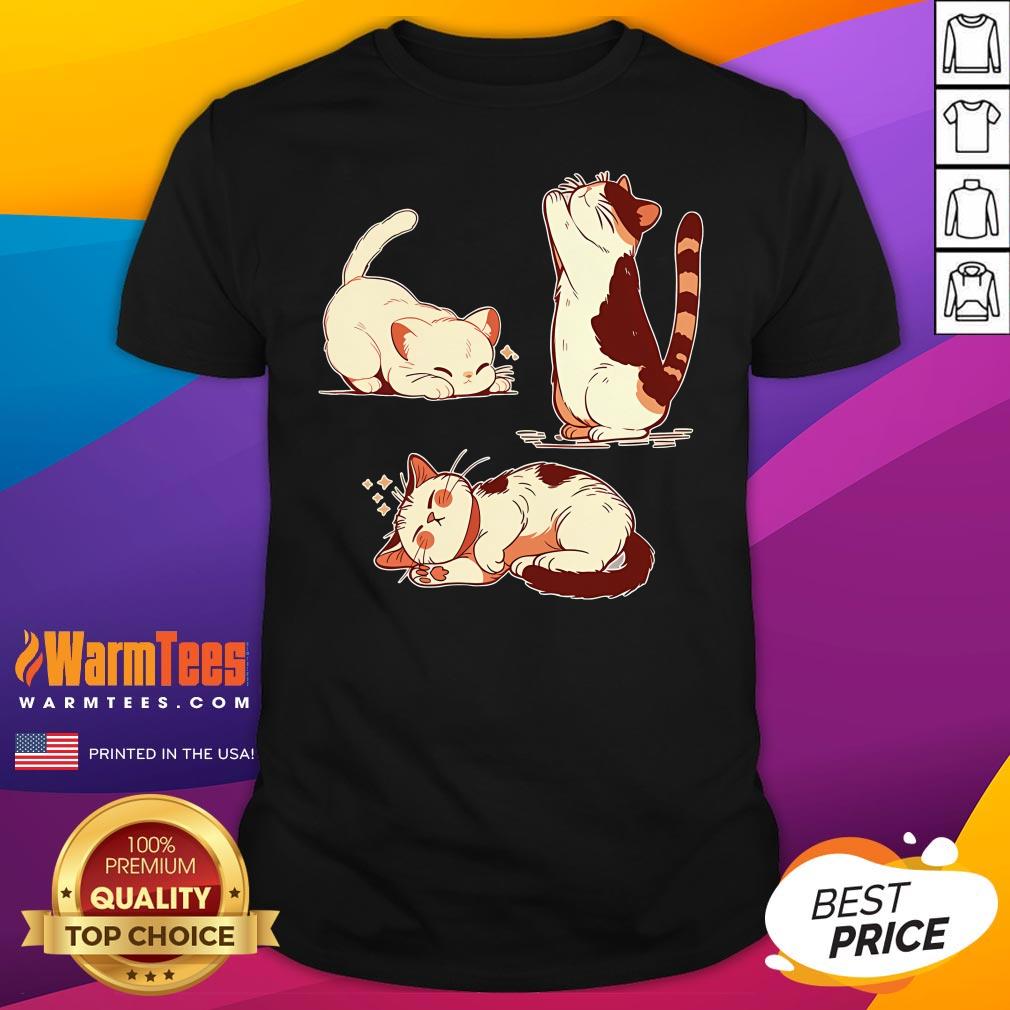Shirt Cute Sunday Afternoon Kitty Yoga T-Shirt