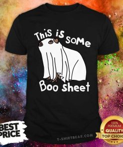Funny This Is Some Boo Sheet Halloween T-Shirt