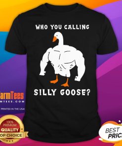 Funny Who You Calling Silly Goose T-Shirt