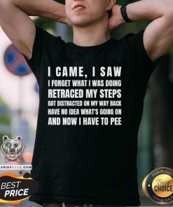 Good I Came I Saw I Have To Pee T-Shirt