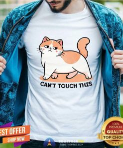Nice Can't Touch This Cat T-Shirt