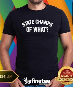 Official 2024 State Champs Of What T-Shirt