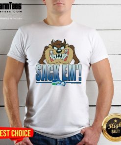 Official Looney Tunes Taz Sack Em' X Seattle Seahawks T-Shirt