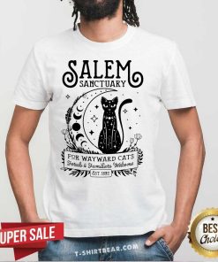 Original Witch Salem Home For Wayward Black Cats 1692 Halloween T-Shirt