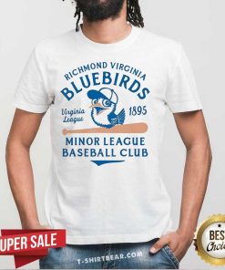 Pretty Richmond Virginia Blue Birds Virginia League 1895 T-Shirt