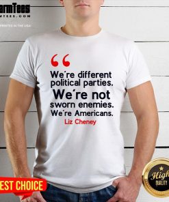 Pretty We Are Not Sworm Enemies Liz Cheney Quote T-Shirt