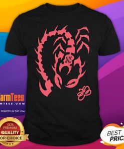 Top Premium NTS Scorpion Vintage T-Shirt