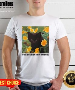 Cute Cat What Am I Even Doing Anymore T-Shirt