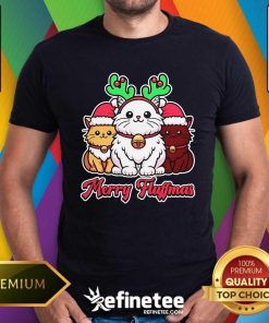 Good Cute Merry Fluffmas Reindeer Antlers Christmas Cat T-Shirt