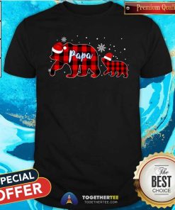 Hot Papa Bear Christmas Pajama Red Plaid Buffalo T-Shirt
