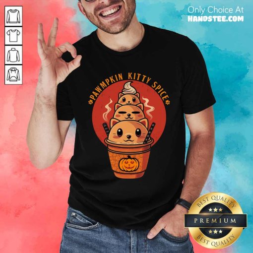 Nice Cute Pawmpkin Kitty Spice Halloween Cat T-Shirt