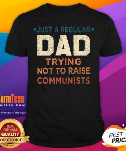 Nice Just A Regular Dad Trying Not To Raise Communists T-Shirt