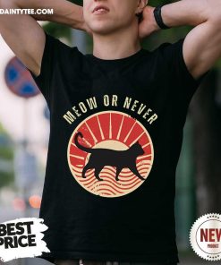 Nice Meow Or Never Funny Cat T-Shirt