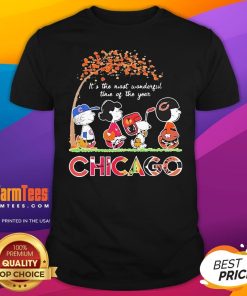 Nice The Peanuts Chicago Sports It's The Most Wonderful Time Of The Year T-Shirt