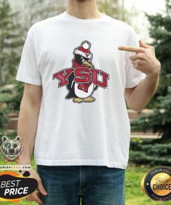 Nice Youngstown Penguins Football YSU Pete Mascot T-Shirt