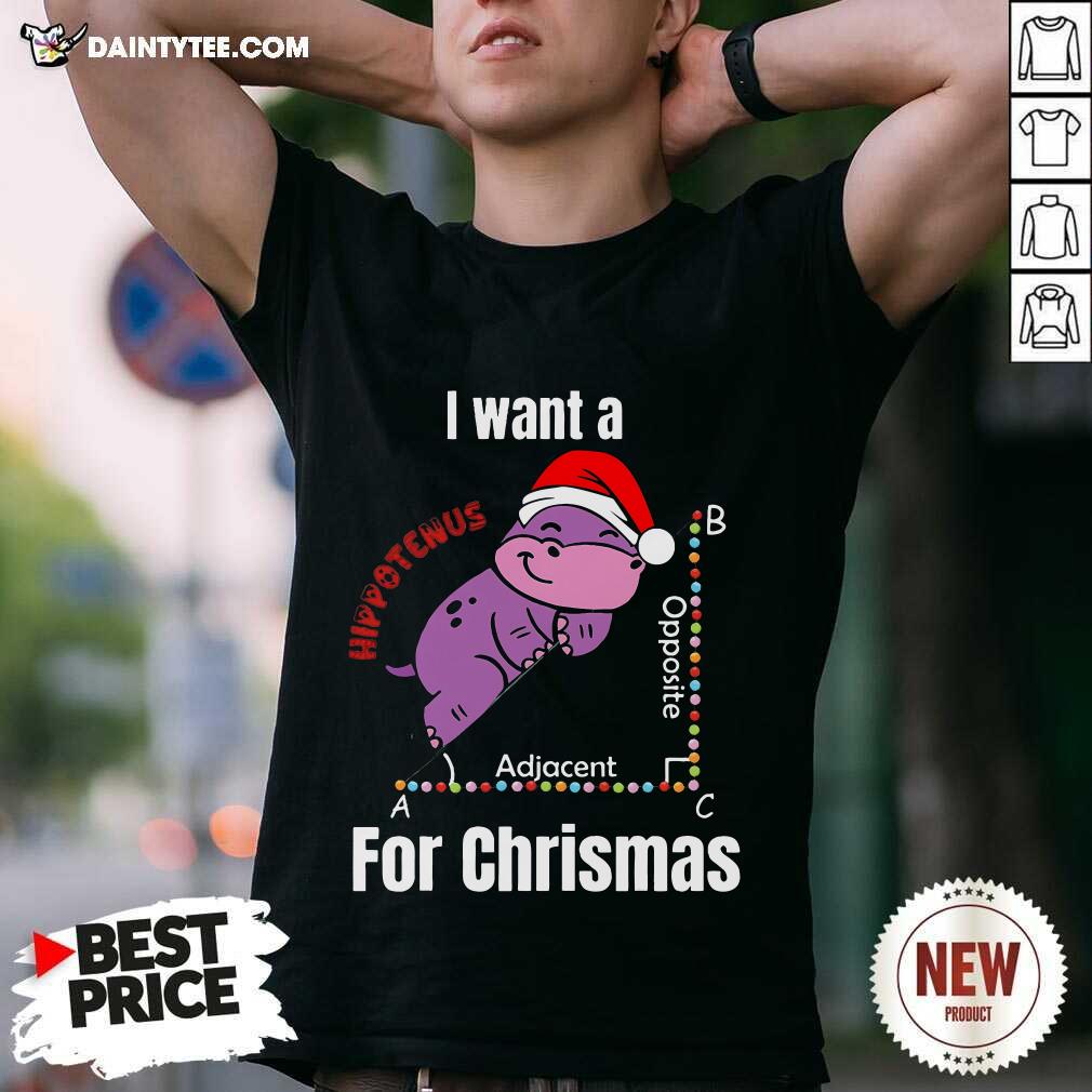 Shirt Pretty Cute I Want A Hippotenuse For Christmas Teacher Math Hippo T-Shirt