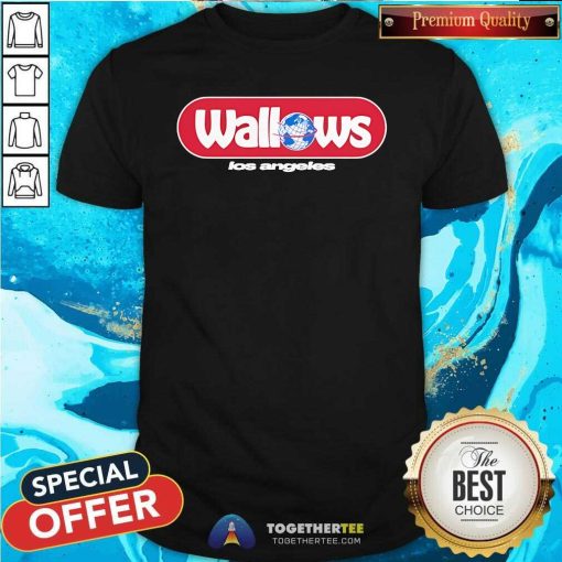 Awesome Wallows Globe Los Angeles T-Shirt