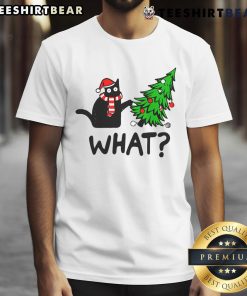 Cute cat wearing a festive Christmas T-shirt, showcasing holiday spirit and playful design perfect for cat lovers.