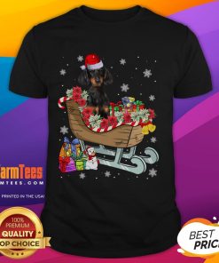 Cute Dachshund dog wearing a Santa hat, perfect for Christmas-themed T-shirts for puppy lovers. Ideal Xmas gift!