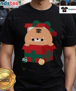 Cute Tiger Christmas Present T-Shirt featuring an adorable tiger design perfect for festive holiday celebrations.