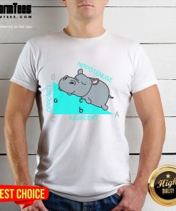 Funny Hippotenuse Math Teacher Joke T-Shirt featuring a humorous math design perfect for educators and math enthusiasts.