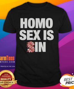Funny Homo Sex Is In T-Shirt featuring vibrant colors and playful graphics, perfect for LGBTQ+ pride and humor.