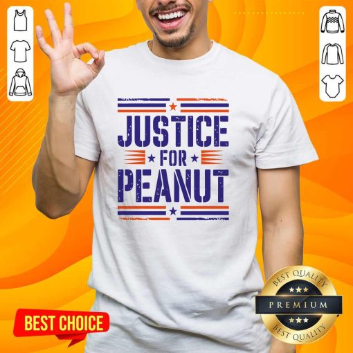 Funny Justice For Peanut The Squirrel Vintage T-Shirt