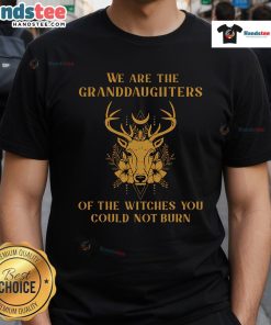 Nice We Are The Granddaughters Of The Witches You Could Not Burn T-Shirt featuring a bold witch-themed graphic design.
