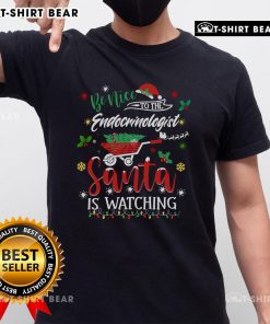 Premium 'Be Nice To The Endocrinologists' Christmas T-shirt for hormone doctors, perfect for festive holiday wear.