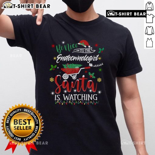 Premium 'Be Nice To The Endocrinologists' Christmas T-shirt for hormone doctors, perfect for festive holiday wear.