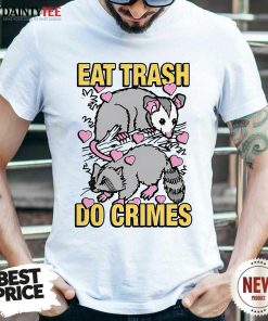 Premium Cute Raccoon Eat Trash Do Crimes T-Shirt