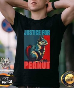 Premium Peanut Squirrel Justice For Peanut Squirrel T-Shirt