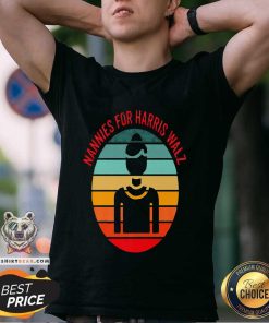Pretty Nannies For Harris Walz 2024 Presidential Election Kamala Sunset T-Shirt