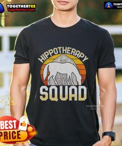 Top Equine Assisted Horse Therapy Therapist Hippotherapy Sunset T-Shirt featuring a vibrant sunset and horse silhouette design.