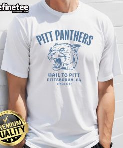 Vintage 'Hail To Pitt' Pittsburgh Panthers T-Shirt celebrating the team's history since 1787, featuring a classic design.