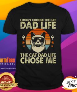 Awesome vintage sunset t-shirt featuring 'I Didn't Choose The Cat Dad Life, The Cat Dad Life Chose Me' design.