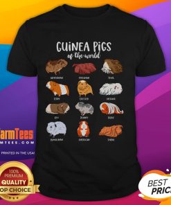 Adorable cartoon guinea pigs on a T-shirt, showcasing different types of guinea pigs for pet lovers and enthusiasts.