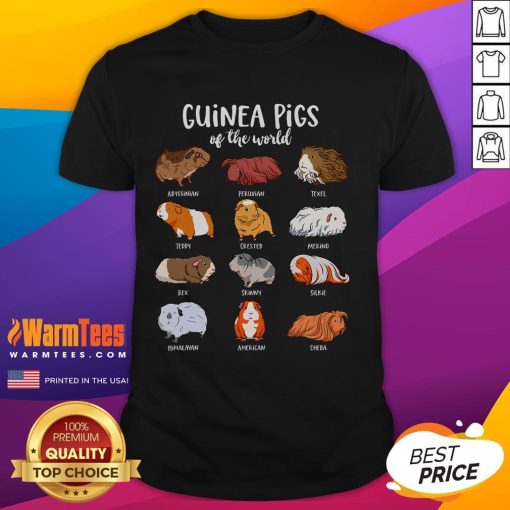 Adorable cartoon guinea pigs on a T-shirt, showcasing different types of guinea pigs for pet lovers and enthusiasts.
