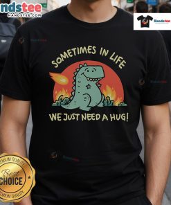 Alt Text: Cute Dinosaur Sometimes In Life We Just Need A Hug T-Shirt featuring a playful dino graphic for comfort lovers.