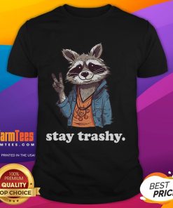 Cute Stay Trashy Raccoon Trash Panda T-Shirt featuring an adorable raccoon graphic and playful text design.