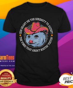 Funny Accept The Vibes That Aren't Rootin Tootin T-Shirt featuring a humorous graphic design for casual wear.