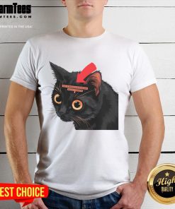 Funny Cat Full Of Paranoid Delusions And Violent Tendencies T-Shirt featuring a quirky cat graphic and humorous text design.