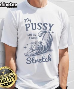 Funny My Pussy Love A Good Stretch cat meme T-shirt featuring a playful feline in a humorous pose.