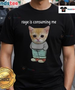 Funny rage is consuming me meme featuring a chill cat, perfect for a quirky T-shirt design for cat lovers.