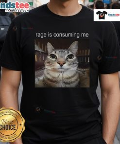 Funny Rage Is Consuming Me Silly Staring Cat Meme T-Shirt design featuring a cartoon cat with exaggerated expressions.