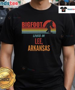 Hot Bigfoot Sighting in Lee Arkansas retro t-shirt featuring a vintage Bigfoot graphic, perfect for fans of cryptids.