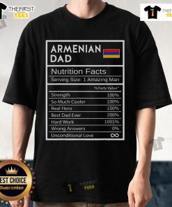 Nice Armenian Dad Nutrition Facts T-Shirt showcasing national pride with fun graphics and vibrant colors.