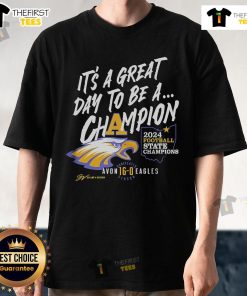 Alt Text: 2024 Football State Champions T-Shirt featuring 'It's A Great Day To Be A Champion' design, perfect for fans.